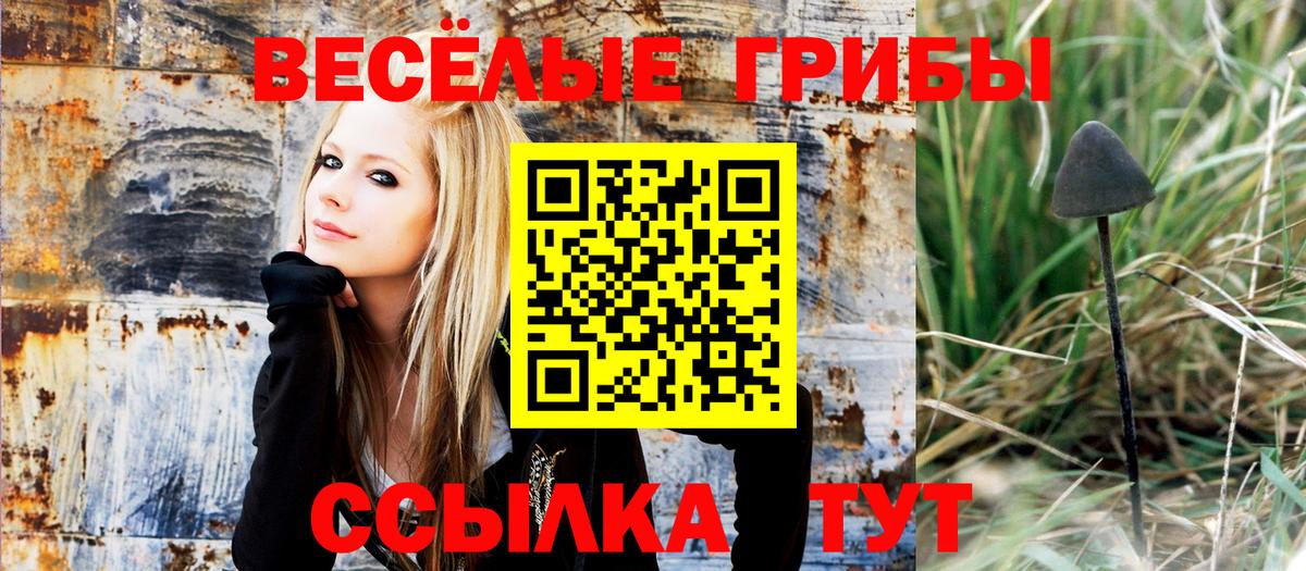 Полевской  Галлюциногенные грибы ЛСД  Вход с VPN  Псилоцибиновые грибы прущие грибы 