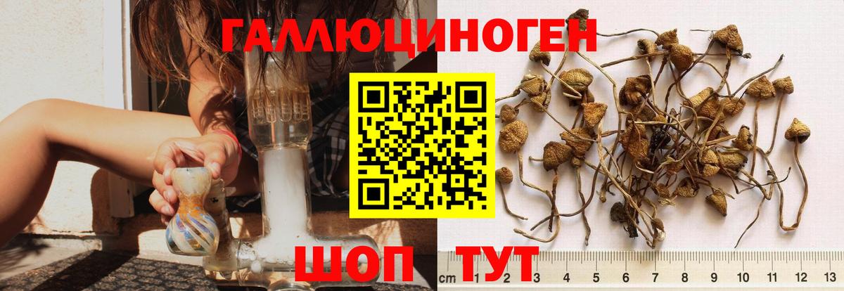 Псилоцибиновые грибы Magic Shrooms Полевской